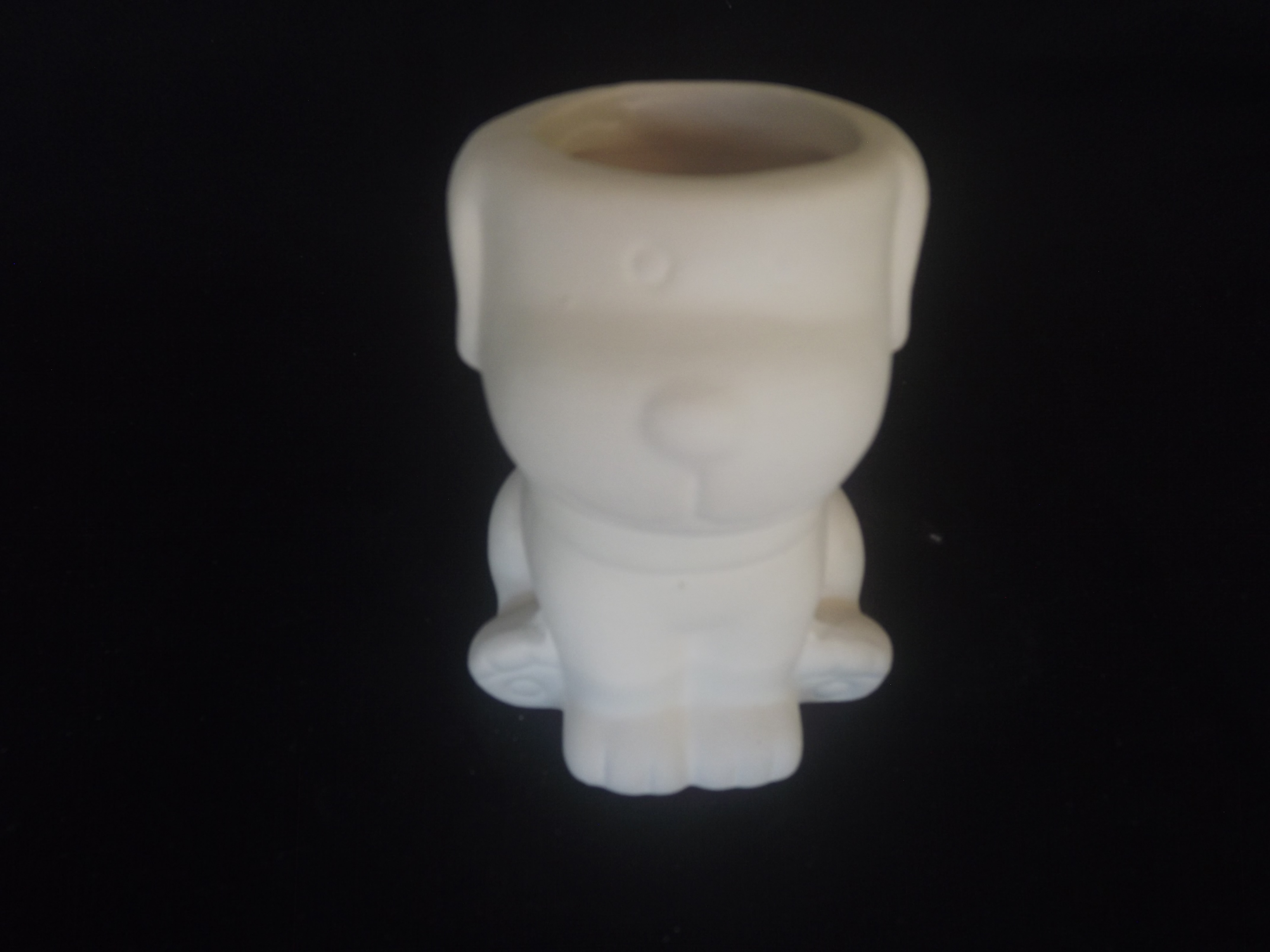 Cachorro Vaso  Suculenta